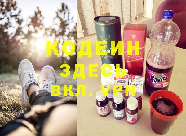 индика Зеленодольск