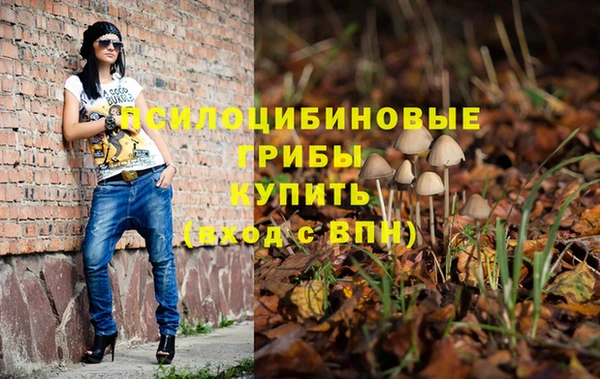 spice Зеленокумск