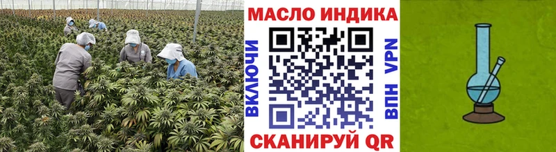 Дистиллят ТГК гашишное масло  Купить  Бологое 